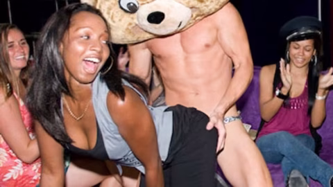 Dancingbear – Starting The Year Off Right