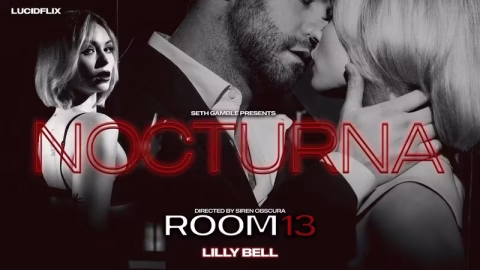 Lucidflix – Room 13